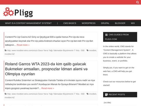 Pligg.com