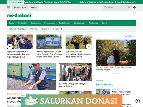 Mediatani.co